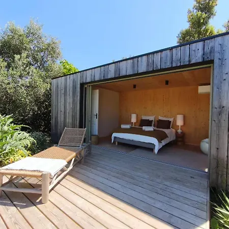 L'albizziane - 10 People - Pool And Pool House * 卡西斯