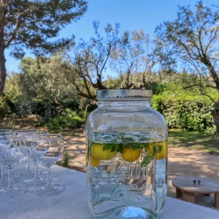 L'albizziane - 10 People - Pool And Pool House * Cassis